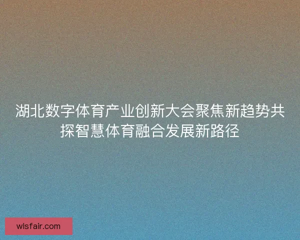 湖北数字体育产业创新大会聚焦新趋势共探智慧体育融合发展新路径