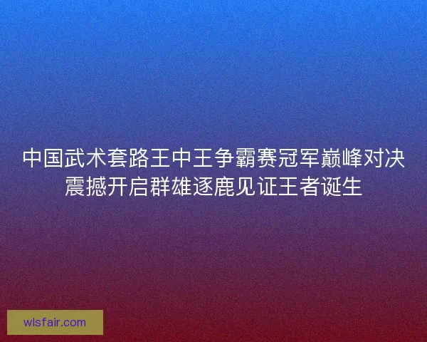 中国武术套路王中王争霸赛冠军巅峰对决震撼开启群雄逐鹿见证王者诞生